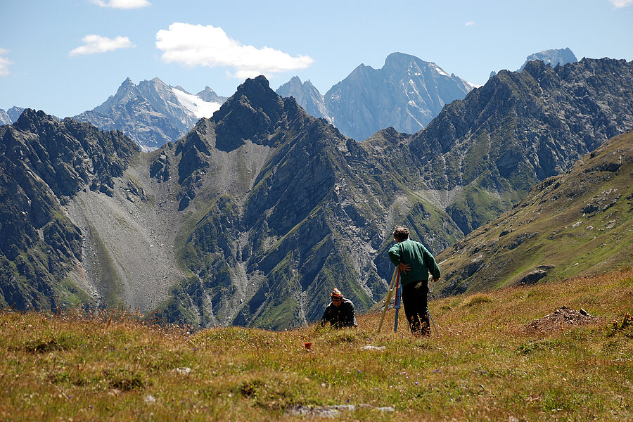 Septimer – Lager mit Bergeller Berge