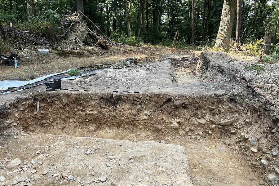 Aufnahme der Grabungsfläche im Wald ohne Menschen. Im Vordergrund sieht man den Grabungsschnitt