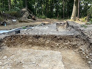 Aufnahme der Grabungsfläche im Wald ohne Menschen. Im Vordergrund sieht man den Grabungsschnitt