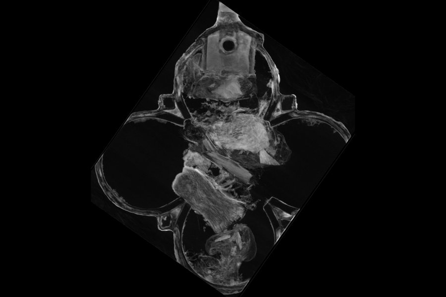 Die Neutronentomografie zeigt das Innere des Reliquienanhängers